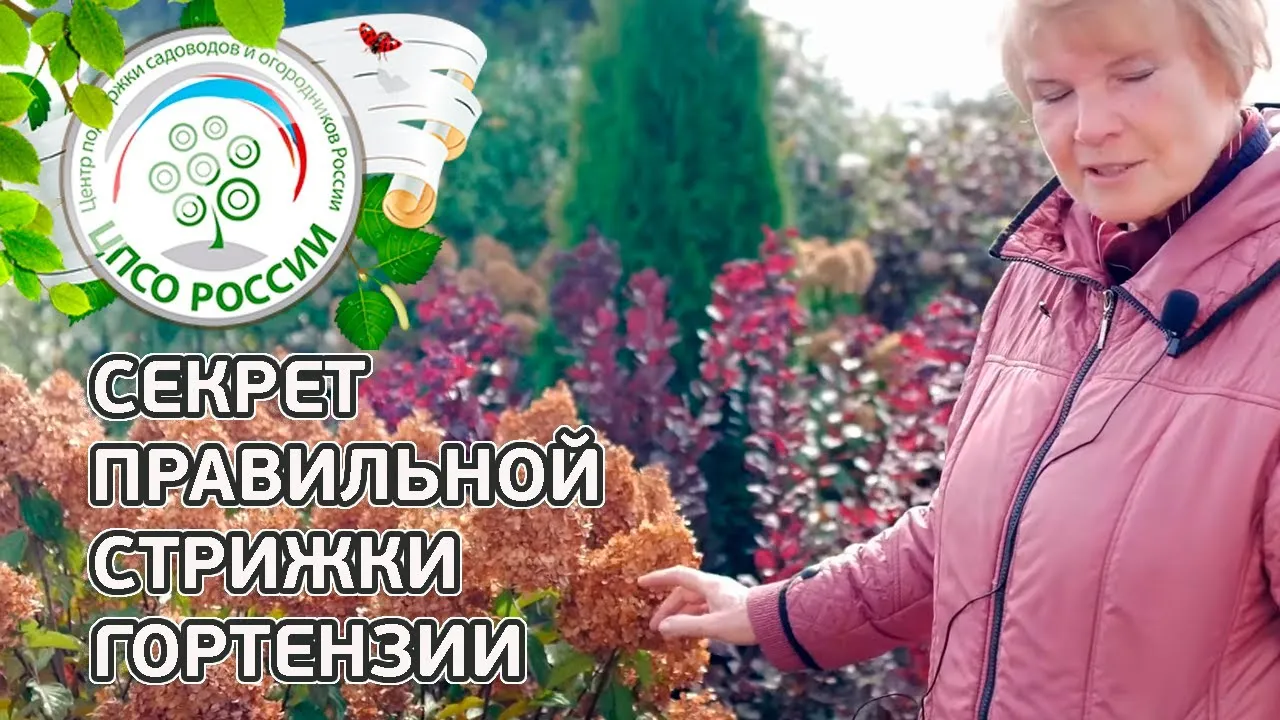 Нажми и смотри Нажми и смотри
