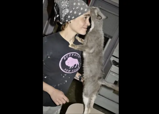 кошка обнимает хозяйку