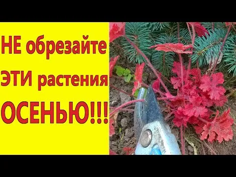 Нажми и смотри