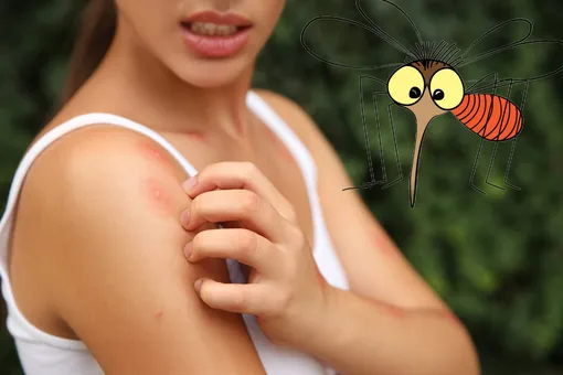 10 растений-антикомаринов для дачи: посадите и забудете о назойливых насекомых