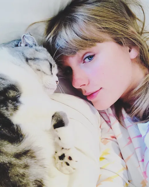 Соцсети Тейлор Свифт