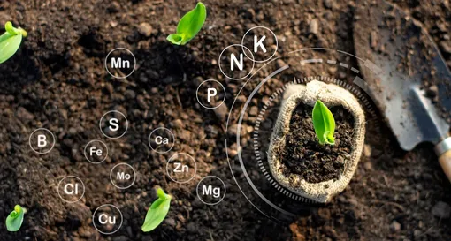 7 правил профессионального удобрения