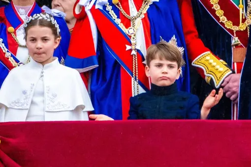 Принц Луи Принц Луи