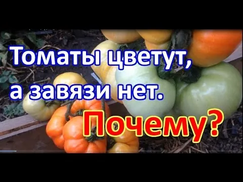 Нажми и смотри