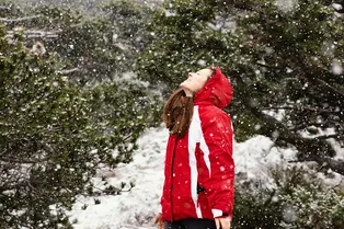 Россия встретит Новый год рекордными морозами