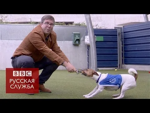 Нажми и смотри Нажми и смотри