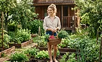 Они успеют всё: 8 скороспелых культур для Подмосковья, о которых забывают в июне Они успеют всё: 8 скороспелых культур для Подмосковья, о которых забывают в июне