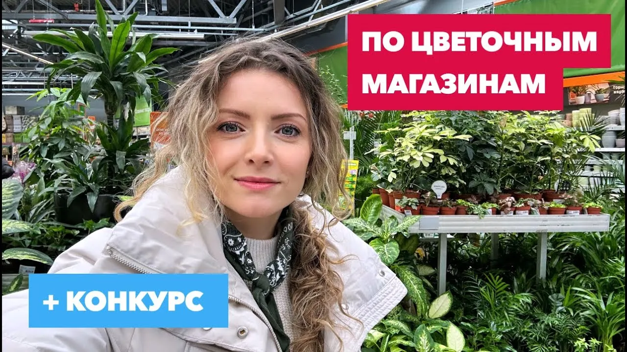 Нажми и смотри Нажми и смотри