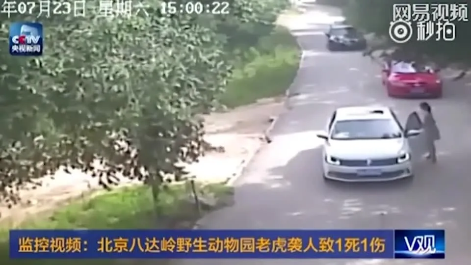 Нажми и смотри