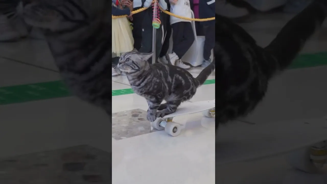 Нажми и смотри