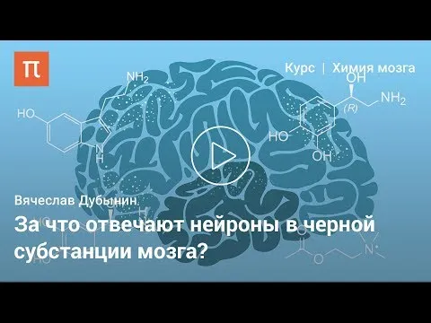 Нажми и смотри