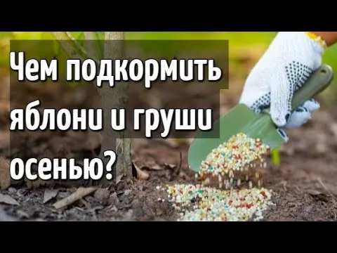 Нажми и смотри