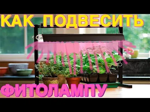 Нажми и смотри