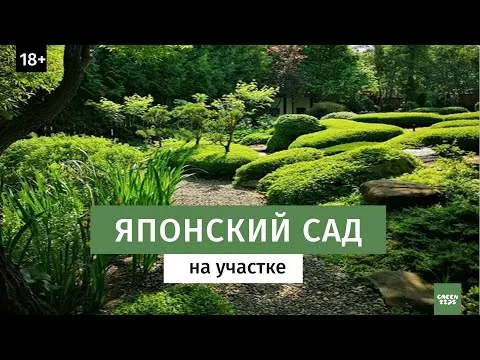 Нажми и смотри