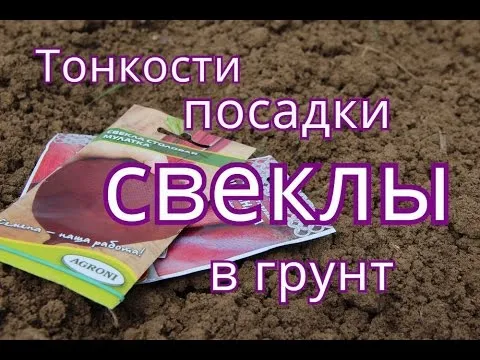 Нажми и смотри