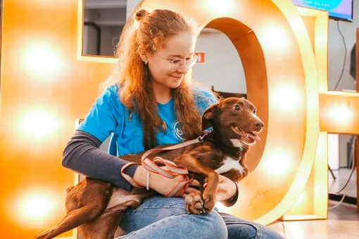 «Юна-Фест» — возьми друга из приюта 27 сентября в Москве!