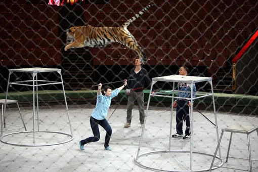 «Она не влезала в чемодан»: стали известны новые подробности об Игоре Запашном, убившем и расчленившем жену «Она не влезала в чемодан»: стали известны новые подробности об Игоре Запашном, убившем и расчленившем жену