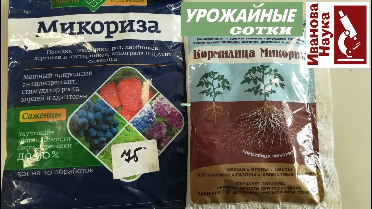Нажми и смотри Нажми и смотри