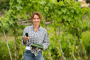 Правда или миф: правильно ответить на вопросы этого теста сможет только настоящий садовод