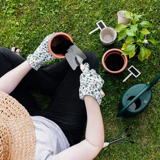 «Пора стимулировать вторую волну»: опытная дачница назвала 10 дел, которые надо успеть сделать в августе