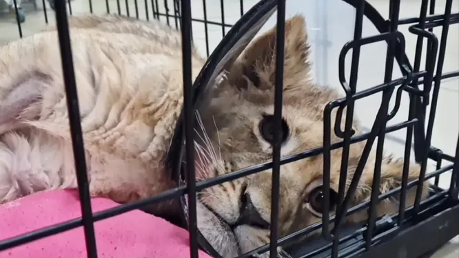 Нажми и смотри Нажми и смотри