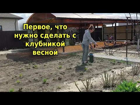 Нажми и смотри