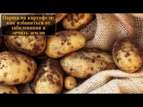 Нажми и смотри