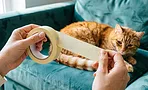 Малярный скотч беру пачками, но не для ремонта: 15 применений, о которых вы не догадывались