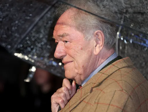 Альбус Дамблдор умер