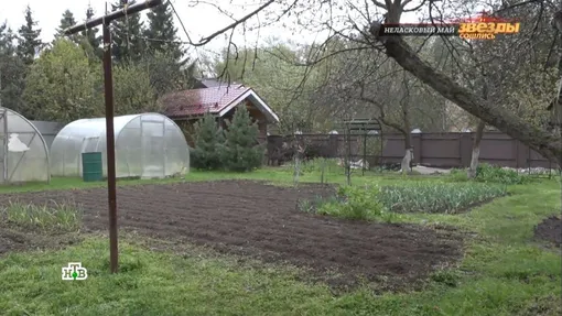 Участок Ангелины Вовк Участок Ангелины Вовк