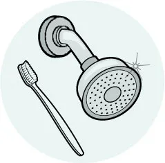 насадка для душа и зубная щетка насадка для душа и зубная щетка