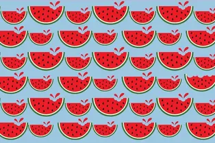 Тест: только самый внимательный найдёт арбуз, непохожий на остальные