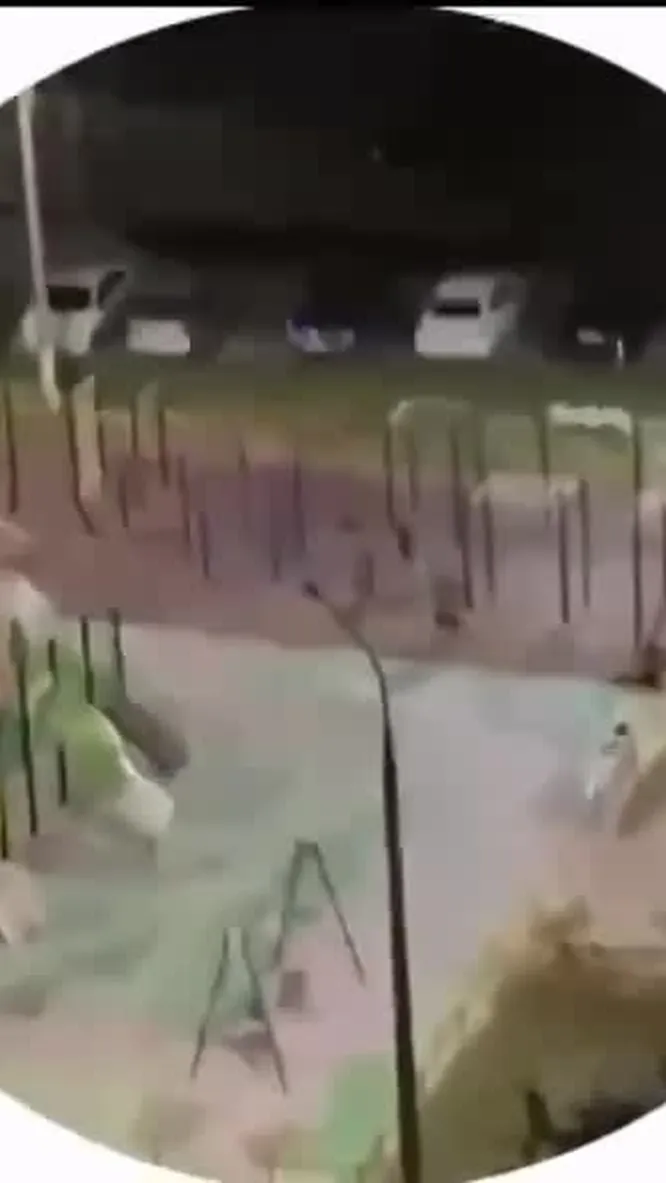 Нажми и смотри