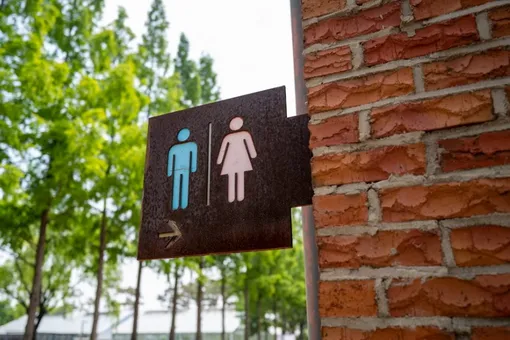 Увеличить число унитазов в женских туалетах предложили депутаты Санкт-Петербурга: почему?