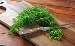 Как заморозить укроп правильно: 12 проверенных советов Как заморозить укроп правильно: 12 проверенных советов