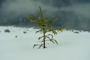 Мокрый снег и туманы: в выходные в центральную Россию заглянет зима Мокрый снег и туманы: в выходные в центральную Россию заглянет зима