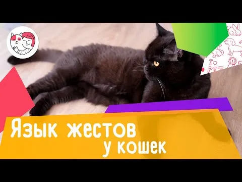 Нажми и смотри