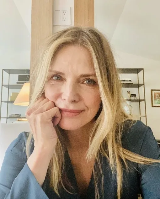 Дом Мишель оформлен в стиле минимализма Дом Мишель оформлен в стиле минимализма