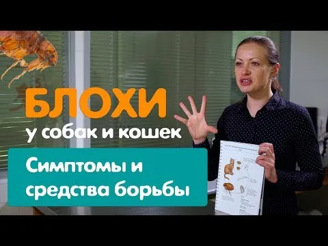 Нажми и смотри