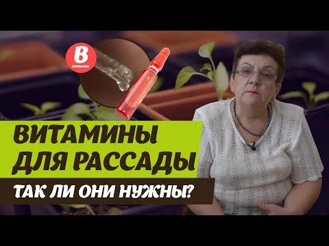 Нажми и смотри