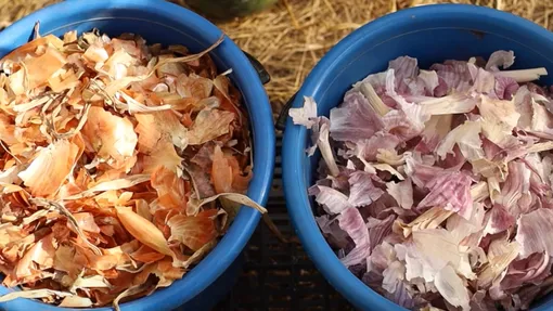 Чесночная и луковая шелуха