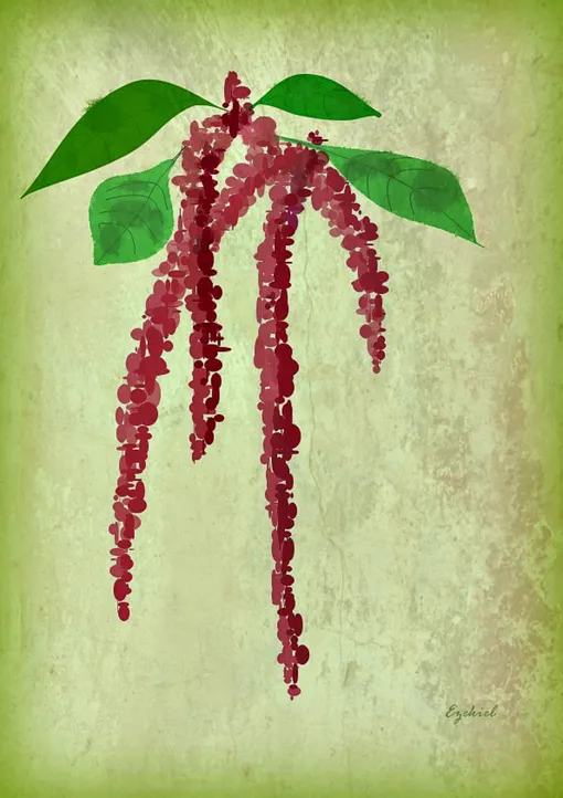 sarah ezekiel, художники инвалиды sarah ezekiel, художники инвалиды