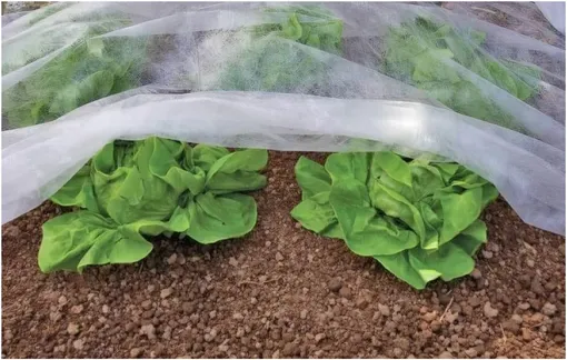 Спанбонд 17 г/м²