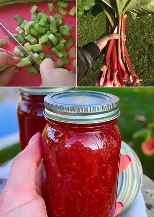 варенье из ревеня рецепт