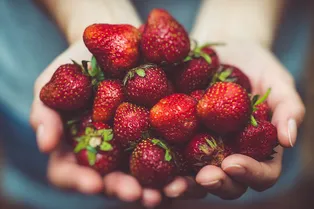 Съешь меня! Самые клубничные ароматы Съешь меня! Самые клубничные ароматы