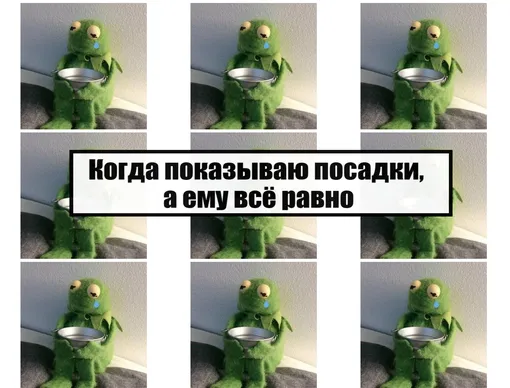 мемы про дачу смешные