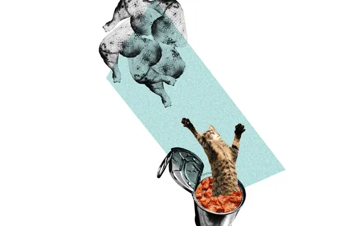 Ровно пять окорочков