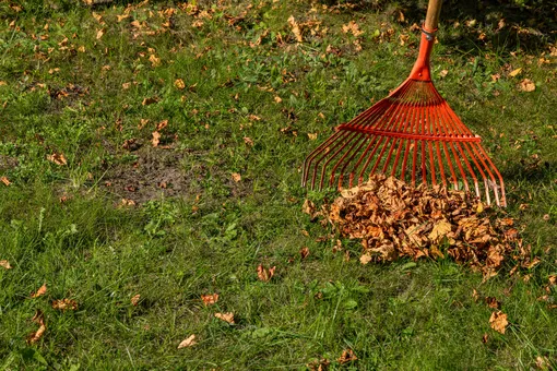 Уборка листьев осенью Уборка листьев осенью
