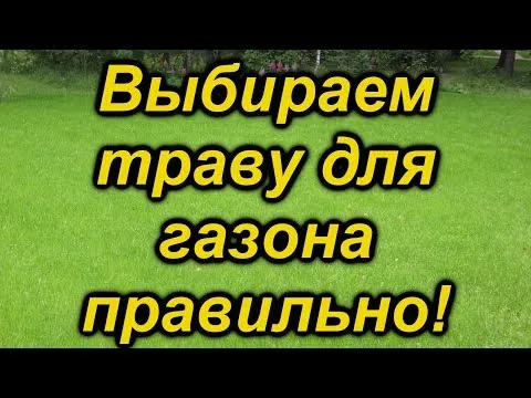 Нажми и смотри
