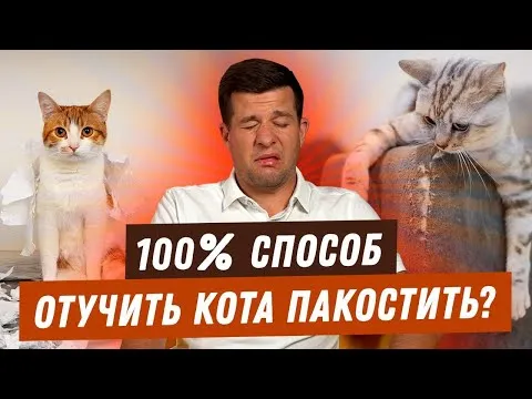 Нажми и смотри